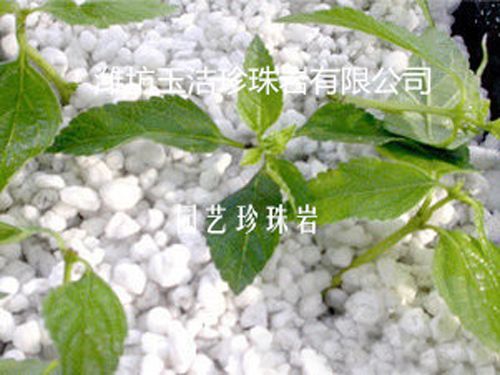 園藝珍珠巖